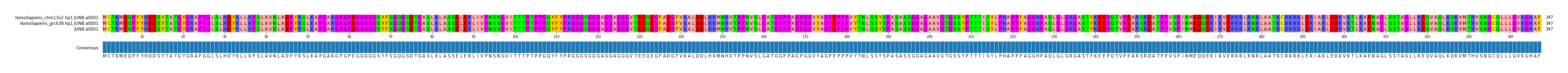 Multiple Alignments (by translate haplotype similarity)
