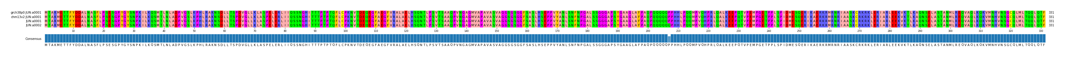 Multiple Alignments (by translate haplotype similarity)