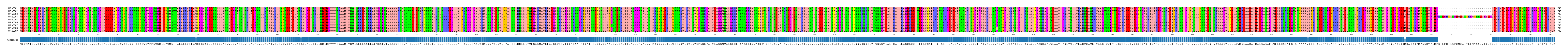 Multiple Alignments (by translate haplotype frequency)