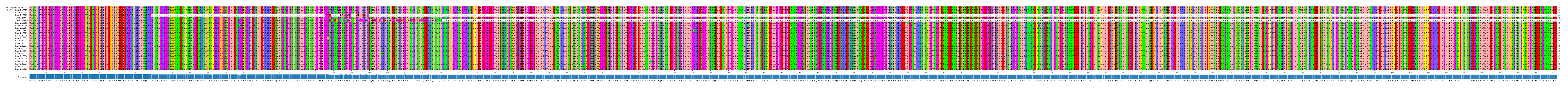 Multiple Alignments (by translate haplotype frequency)