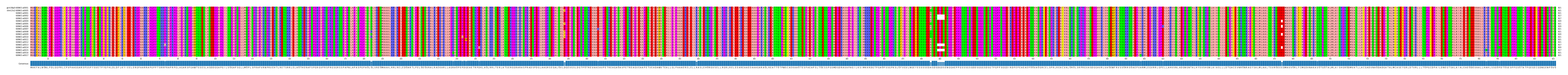 Multiple Alignments (by translate haplotype frequency)