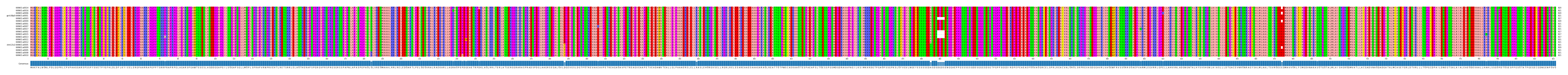 Multiple Alignments (by translate haplotype similarity)