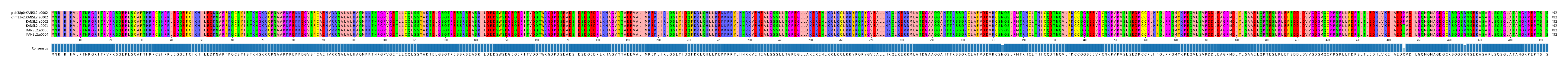 Multiple Alignments (by translate haplotype similarity)