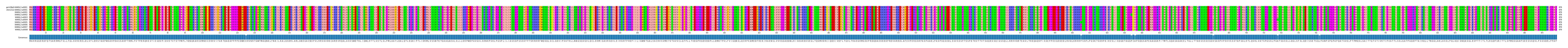 Multiple Alignments (by translate haplotype frequency)