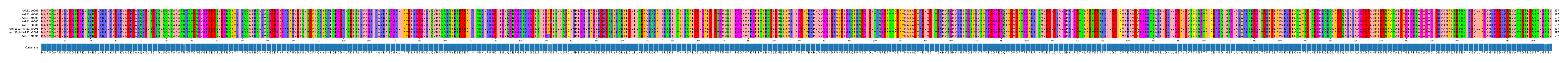 Multiple Alignments (by translate haplotype similarity)