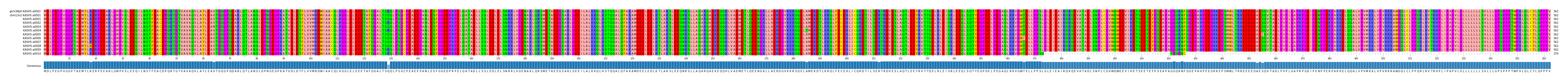 Multiple Alignments (by translate haplotype frequency)