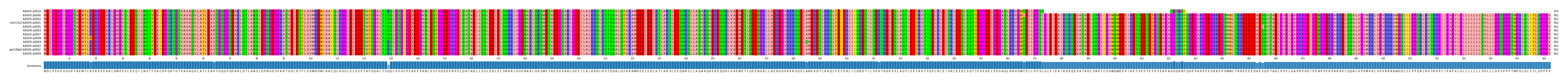 Multiple Alignments (by translate haplotype similarity)