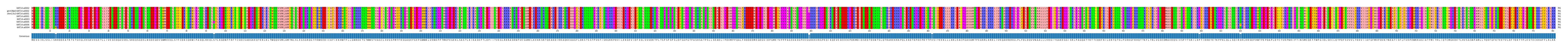 Multiple Alignments (by translate haplotype similarity)