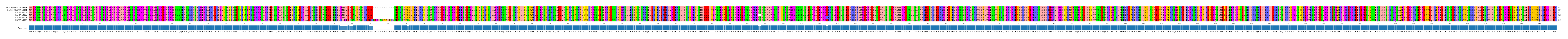 Multiple Alignments (by translate haplotype frequency)