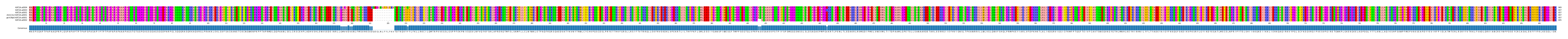 Multiple Alignments (by translate haplotype similarity)