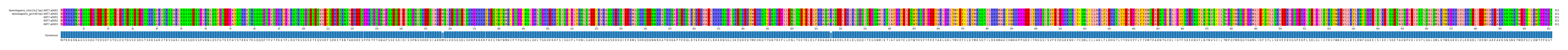 Multiple Alignments (by translate haplotype frequency)