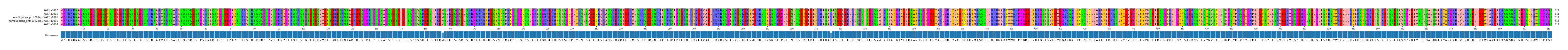 Multiple Alignments (by translate haplotype similarity)