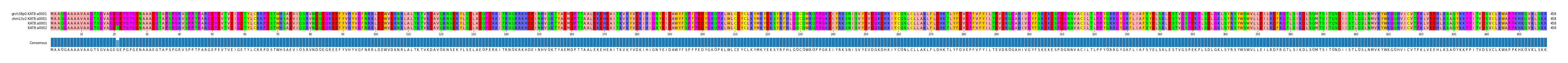 Multiple Alignments (by translate haplotype similarity)
