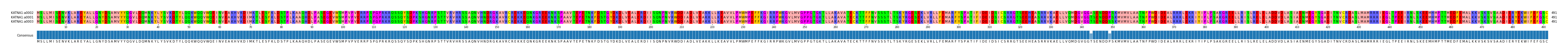 Multiple Alignments (by translate haplotype similarity)