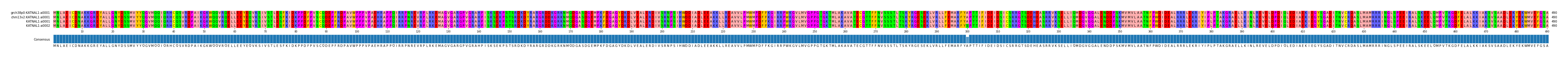 Multiple Alignments (by translate haplotype similarity)