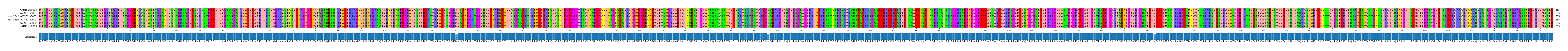 Multiple Alignments (by translate haplotype similarity)