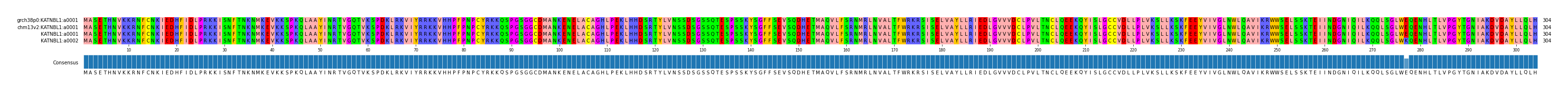 Multiple Alignments (by translate haplotype frequency)