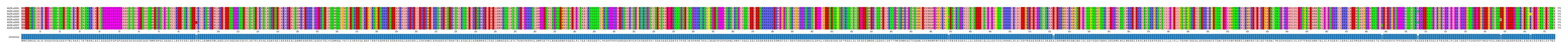 Multiple Alignments (by translate haplotype frequency)