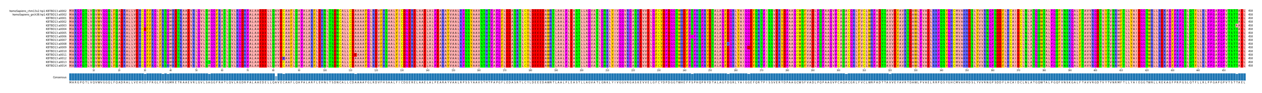 Multiple Alignments (by translate haplotype frequency)