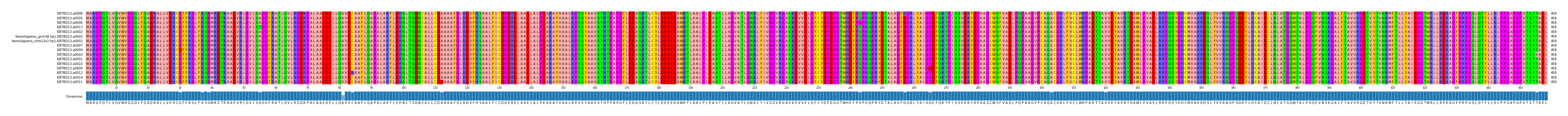 Multiple Alignments (by translate haplotype similarity)