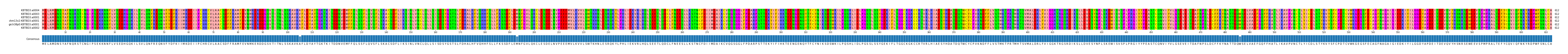 Multiple Alignments (by translate haplotype similarity)