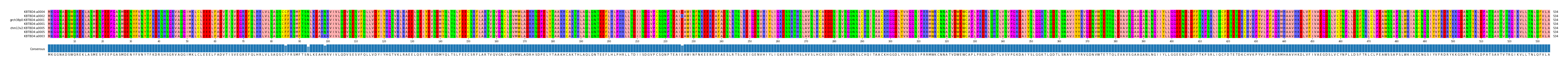 Multiple Alignments (by translate haplotype similarity)