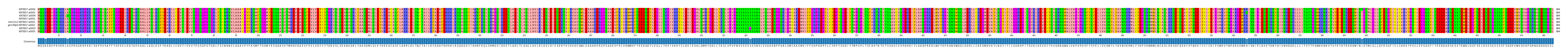 Multiple Alignments (by translate haplotype similarity)