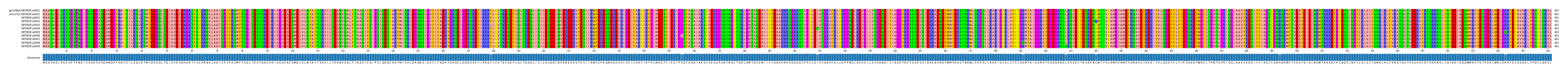 Multiple Alignments (by translate haplotype frequency)