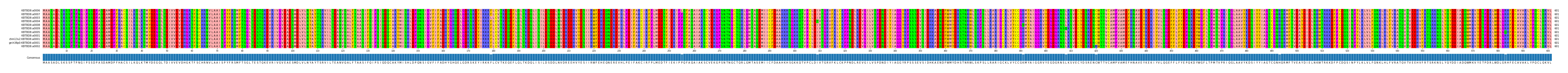 Multiple Alignments (by translate haplotype similarity)