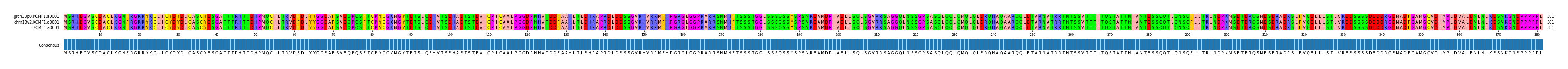 Multiple Alignments (by translate haplotype similarity)
