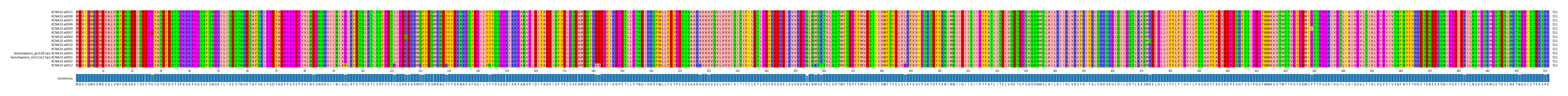 Multiple Alignments (by translate haplotype similarity)
