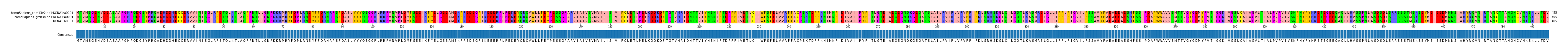 Multiple Alignments (by translate haplotype similarity)