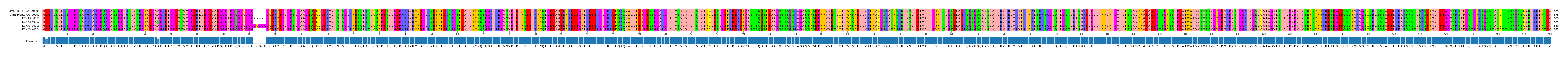 Multiple Alignments (by translate haplotype frequency)