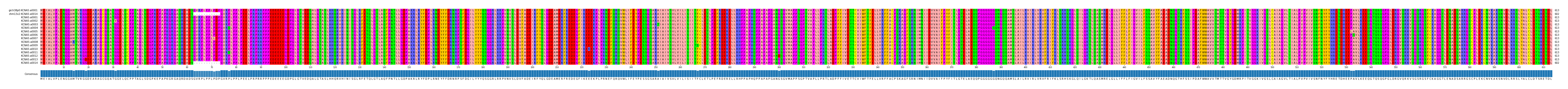 Multiple Alignments (by translate haplotype frequency)