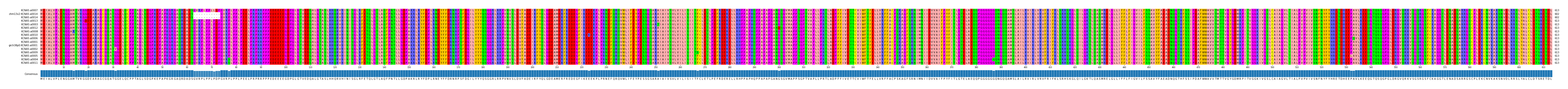 Multiple Alignments (by translate haplotype similarity)
