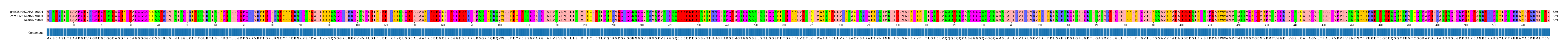 Multiple Alignments (by translate haplotype similarity)