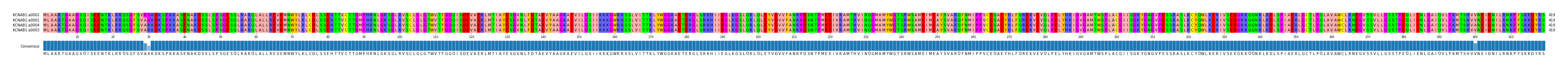 Multiple Alignments (by translate haplotype similarity)
