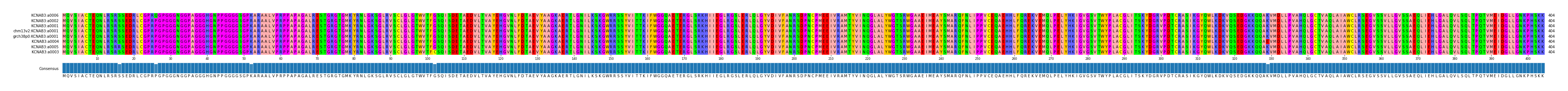 Multiple Alignments (by translate haplotype similarity)