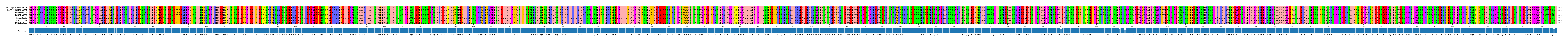 Multiple Alignments (by translate haplotype frequency)