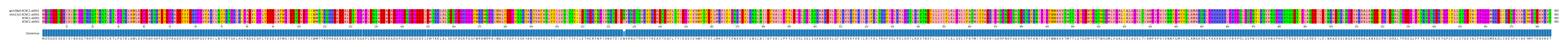 Multiple Alignments (by translate haplotype similarity)