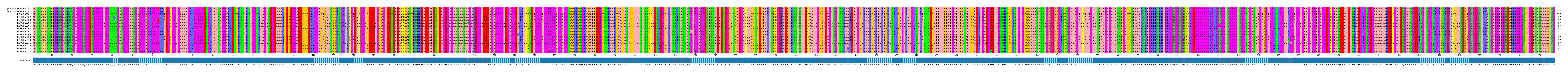 Multiple Alignments (by translate haplotype frequency)