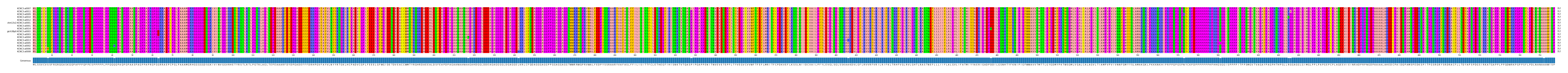 Multiple Alignments (by translate haplotype similarity)