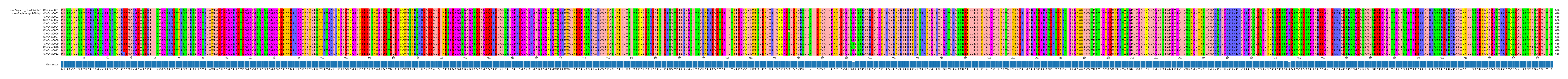 Multiple Alignments (by translate haplotype frequency)