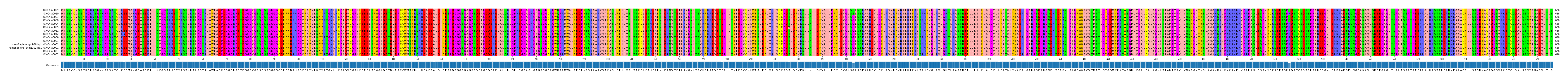 Multiple Alignments (by translate haplotype similarity)