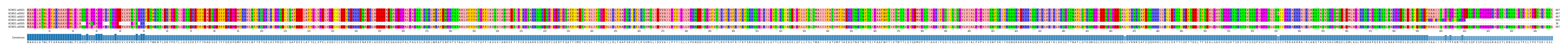 Multiple Alignments (by translate haplotype frequency)