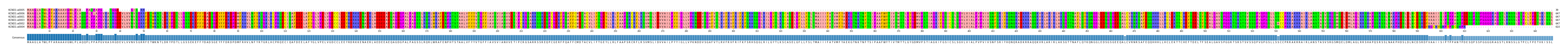 Multiple Alignments (by translate haplotype similarity)
