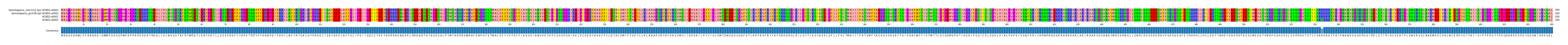Multiple Alignments (by translate haplotype similarity)