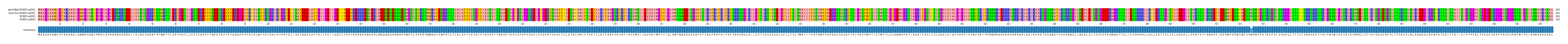 Multiple Alignments (by translate haplotype similarity)