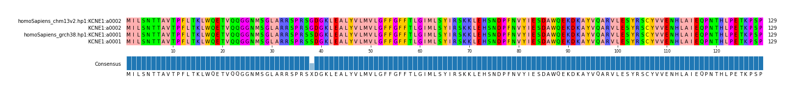 Multiple Alignments (by translate haplotype similarity)