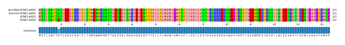 Multiple Alignments (by translate haplotype similarity)